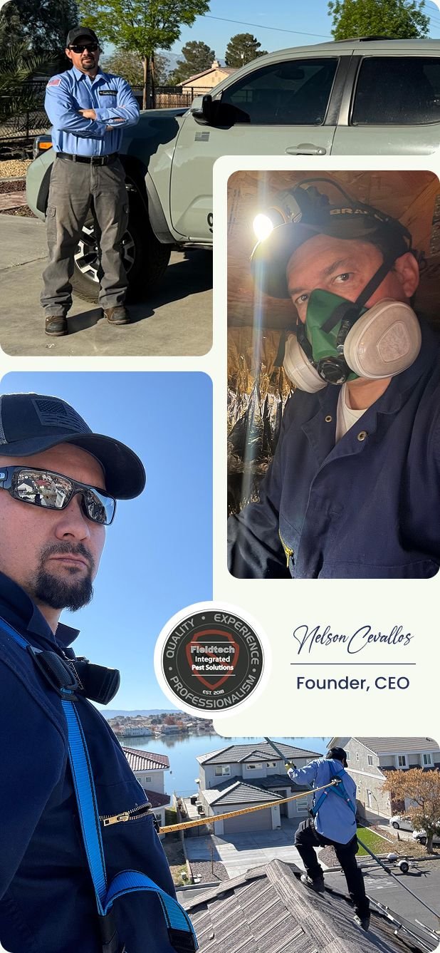 Nelson Cevallos Founder and CEO of Fieldtech Integrated Pest Solutions shown on the job in Apple Valley CA wearing PPE and working on rooftops